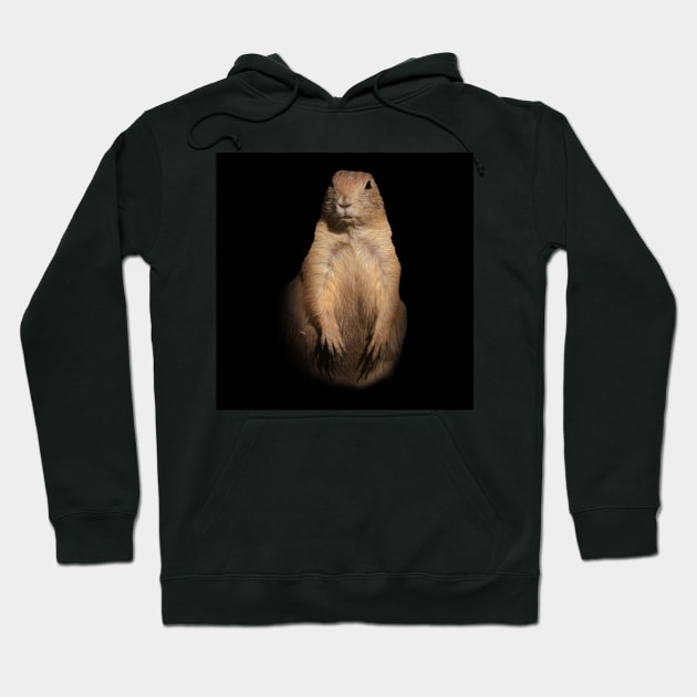 Prairie dog Hoodie by Guardi